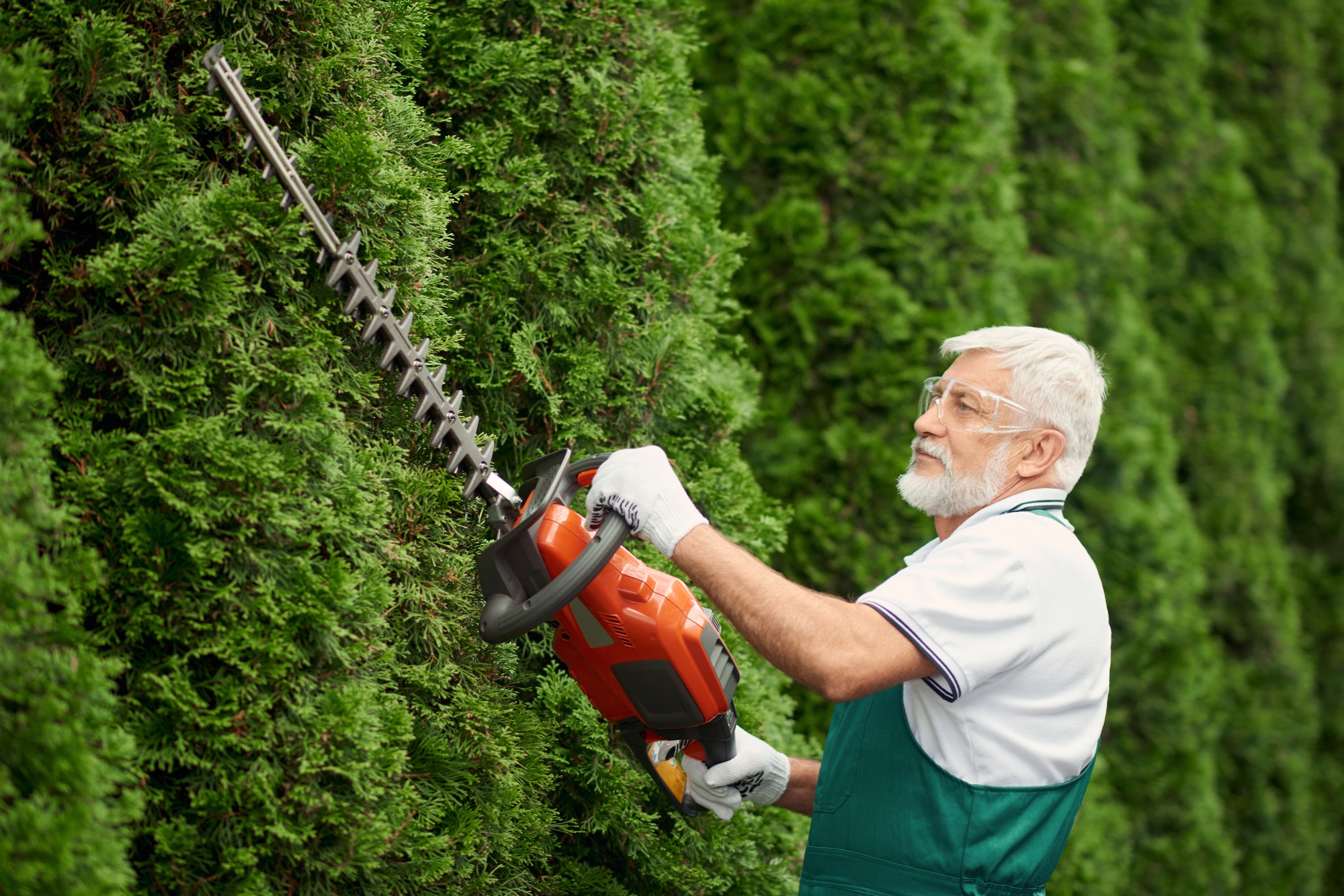 Man wearing ear and face protection cutting hedge